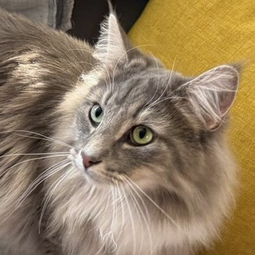Winnie